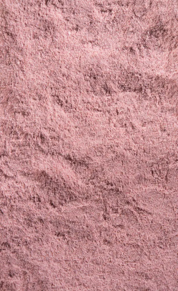 Pollenberry powder