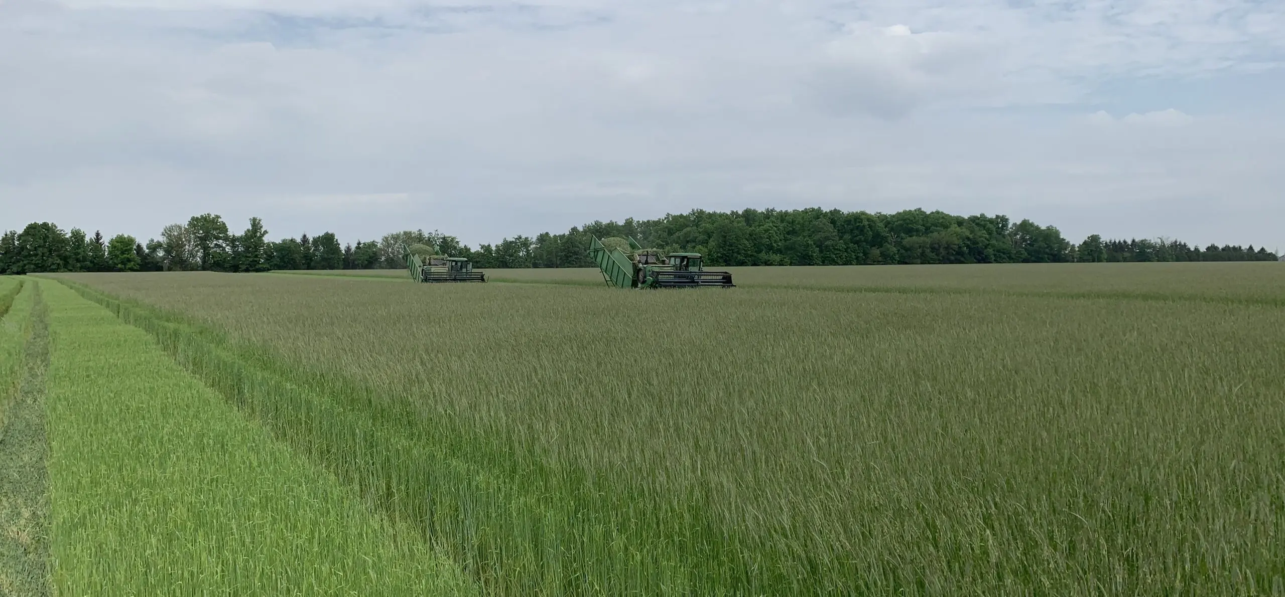 two combines in gaminex farm field
